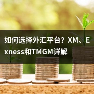 如何选择外汇平台？XM、Exness和TMGM详解