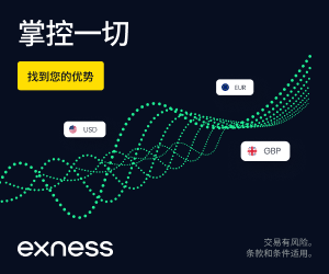 Exness官网哪些Exness账户可以是免隔夜利息的？